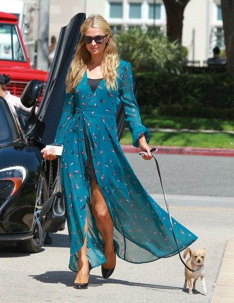 Cô nàng dạo bước cùng chú chó cưng sau khi lái xe và dành cả thời gian để đi mua sắm.