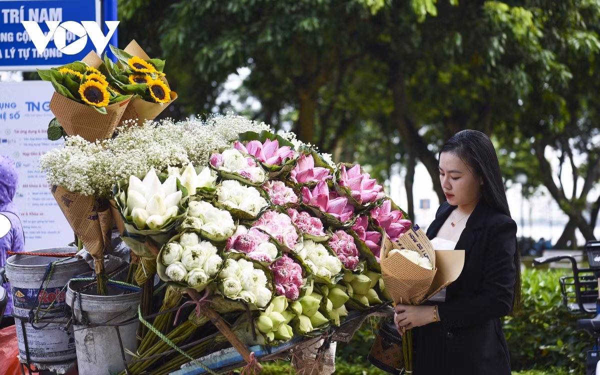Vô cùng bình dị và dân dã nhưng lại mang một vẻ đẹp rất tinh tế, rất Hà Nội. Giữa những hối hả, ồn ào, những gánh hàng hoa vẫn miệt mài trên phố chở cả một mùa sau lưng thắm đượm cái hồn của người Việt.