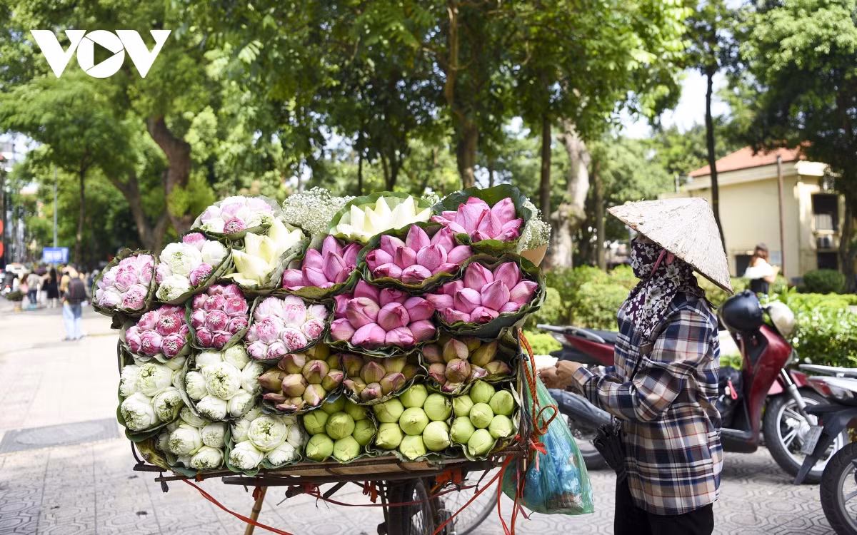 Những bó hoa theo chân người bán hàng len lỏi khắp hang cùng ngõ hẻm, từ phố nhỏ ra đường lớn, góp phần tạo nên một hình ảnh rất riêng, rất độc đáo của Hà Nội.