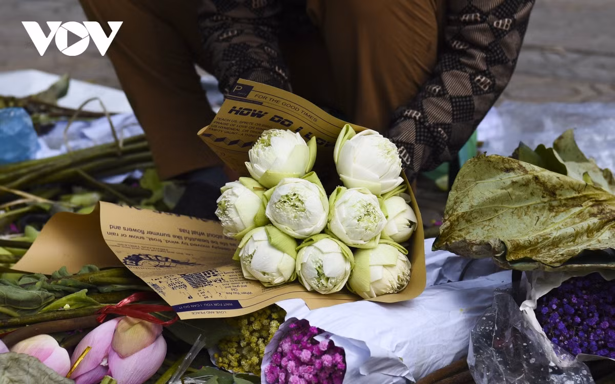 Giản dị, mộc mạc mà thanh tao… đây chính là những điều bình dị nhất của mảnh đất Thủ đô mà ai cũng cảm thấy thú vị khi đến Hà Nội những ngày vào thu.