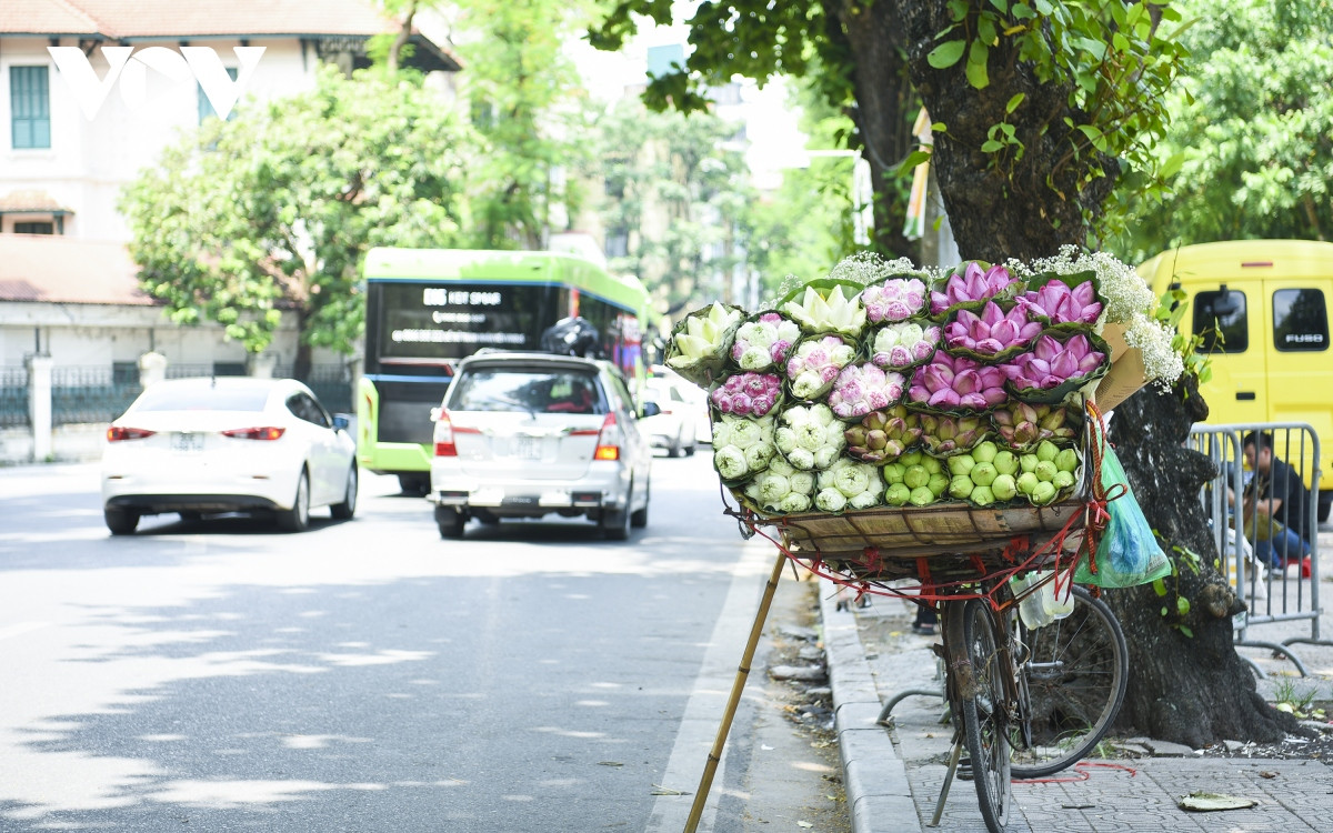 Tiết trời mát mẻ cũng là lúc những gánh hàng rong chở đầy hoa bắt đầu xuống phố tấp nập hơn.