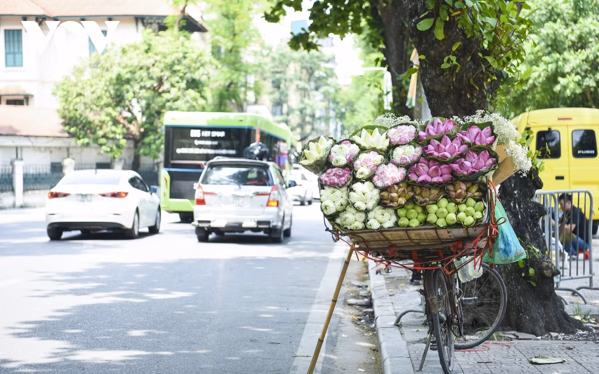 Tiết trời mát mẻ cũng là lúc những gánh hàng rong chở đầy hoa bắt đầu xuống phố tấp nập hơn.