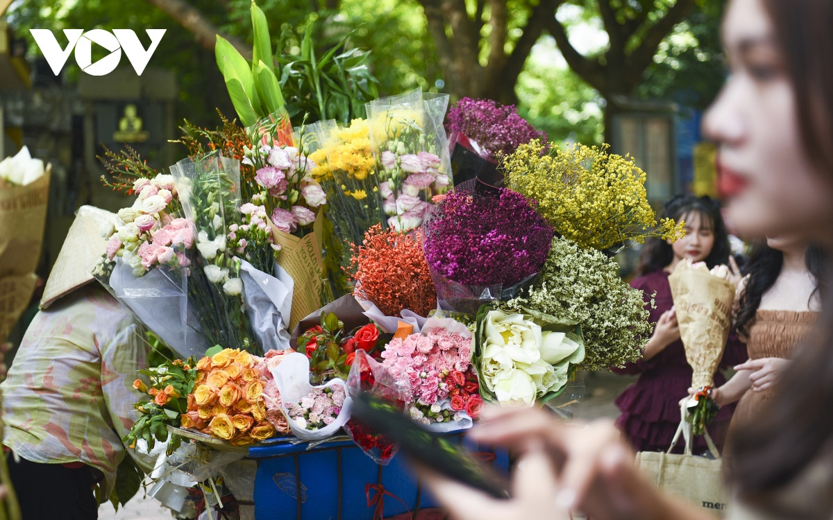 Nào cúc, nào họa mi, nào hoa cúc vàng, thạch thảo, hoa ly, tất cả cùng “chen chúc” trên những gánh hoa, tạo nên nét đặc trưng cho mùa thu Hà Nội mà không nơi nào có được.