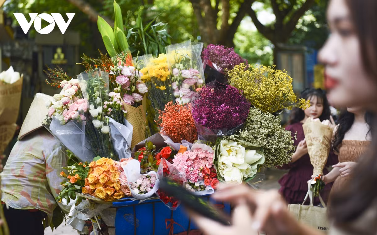 Nào cúc, nào họa mi, nào hoa cúc vàng, thạch thảo, hoa ly, tất cả cùng “chen chúc” trên những gánh hoa, tạo nên nét đặc trưng cho mùa thu Hà Nội mà không nơi nào có được.