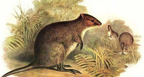 Tu thang 7/2022: 4 tuoi Than Tai bam got giau sang, su nghiep phat nhu Rong