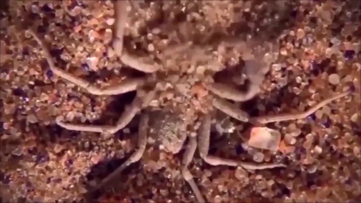 Clip: Tan cong tran khong lo, khi hieu chien nhan ngay ket tham