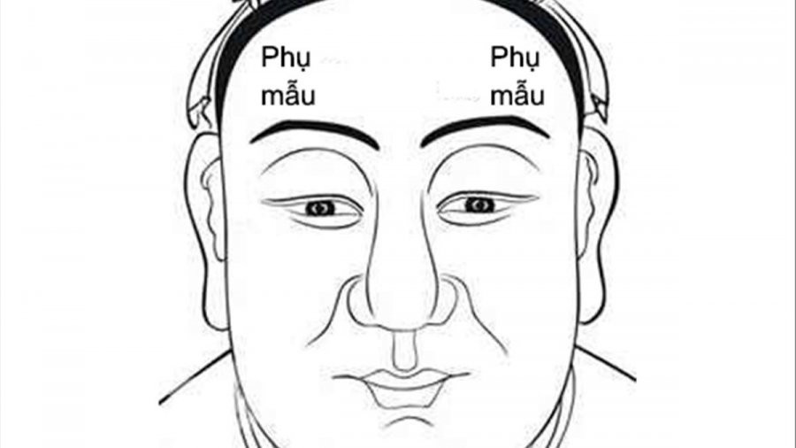 Hơn nữa, người đàn ông có tướng cằm to tròn thường rất bao dung, nên được nhiều người yêu quý. Do đó, khi cần giúp đỡ thì có người hỗ trợ ngay.