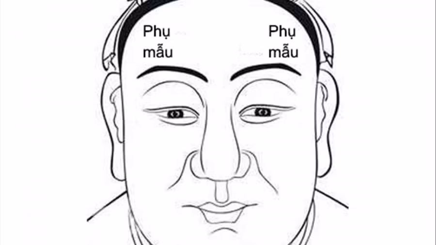 Hơn nữa, người đàn ông có tướng cằm to tròn thường rất bao dung, nên được nhiều người yêu quý. Do đó, khi cần giúp đỡ thì có người hỗ trợ ngay.