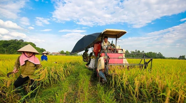 Năm 2021, giá trị sản xuất toàn ngành nông nghiệp tỉnh Trà Vinh đạt gần 28.000 tỷ đồng, tăng 0,24% so cùng kỳ.
