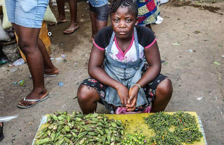 Can canh khu cho ban hai san kich thuoc “khung”, gia re nhu rau gay bat ngo-Hinh-11