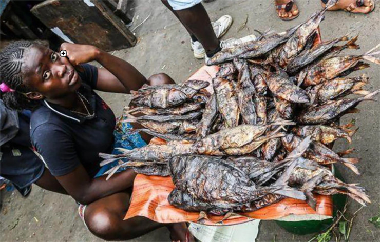 Can canh khu cho ban hai san kich thuoc “khung”, gia re nhu rau gay bat ngo-Hinh-8