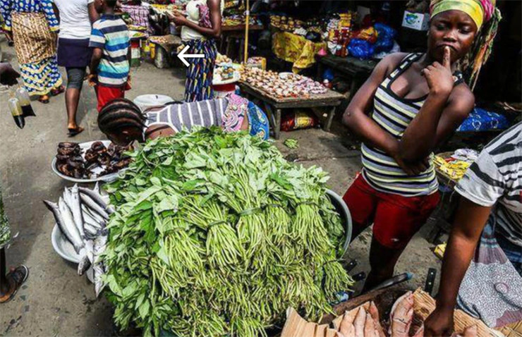 Can canh khu cho ban hai san kich thuoc “khung”, gia re nhu rau gay bat ngo