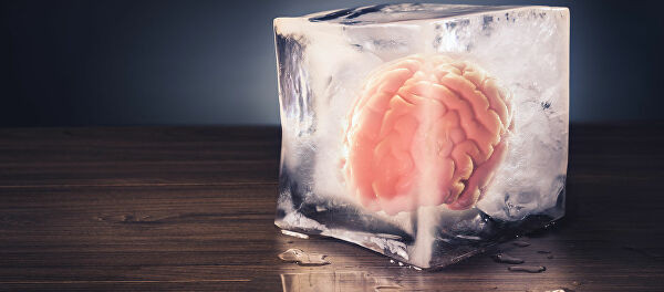 Bộ não nhỏ gần như không có đủ mật độ tế bào thần kinh để có thể nhận thức được, chúng chỉ là những cấu trúc cực kỳ hữu ích để nghiên cứu sự phát triển của não, và tìm ra các phương pháp chữa trị chứng rối loạn võng mạc gây mù.