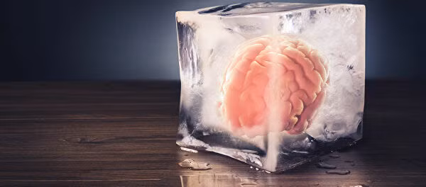 Bộ não nhỏ gần như không có đủ mật độ tế bào thần kinh để có thể nhận thức được, chúng chỉ là những cấu trúc cực kỳ hữu ích để nghiên cứu sự phát triển của não, và tìm ra các phương pháp chữa trị chứng rối loạn võng mạc gây mù.