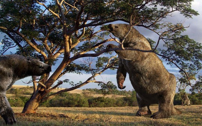 Thổ dân da đỏ ở Amazon vẫn truyền tai nhau về một quái vật đi bằng hai chân như người, thân thể phủ đầy lông lá, thi thoảng lại cất tiếng hú rợn người. Họ thường gọi chúng là Mapinguari, có nghĩa là “kẻ trông coi rừng già”. Mapinguari được cho là có hình dáng bên ngoài khá giống với lười đất khổng lồ.