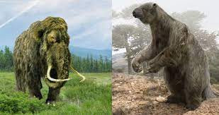 Tuy nhiên, một số giả thuyết khẳng định rằng chúng vẫn tồn tại đâu đó trong khu rừng Amazon rộng lớn, nơi con người chưa đặt chân đến.