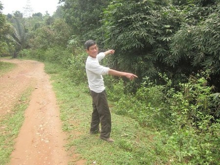 Đền Nghĩa Đô ngày nay chỉ còn là phế tích, nhưng lời nguyền vẫn được lưu truyền.