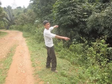 Đền Nghĩa Đô ngày nay chỉ còn là phế tích, nhưng lời nguyền vẫn được lưu truyền.