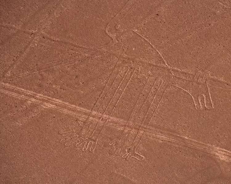 Các hình vẽ Nazca đã được nhà sử học Pedro de Cieza de León quan sát từ trên các đỉnh đồi từ năm 1547 khi ông đi theo đoàn quân của thực dân Tây Ban Nha. Vào thập niên 1920, lần đầu tiên chúng được nhìn từ máy bay trong một chuyến bay thương mại xuyên qua sa mạc Peru. Kể từ đó, các nhà khoa học bắt đầu quan tâm và nghiên cứu về những hình vẽ bí ẩn này. Ảnh: Hình vẽ chó ở Nazca.