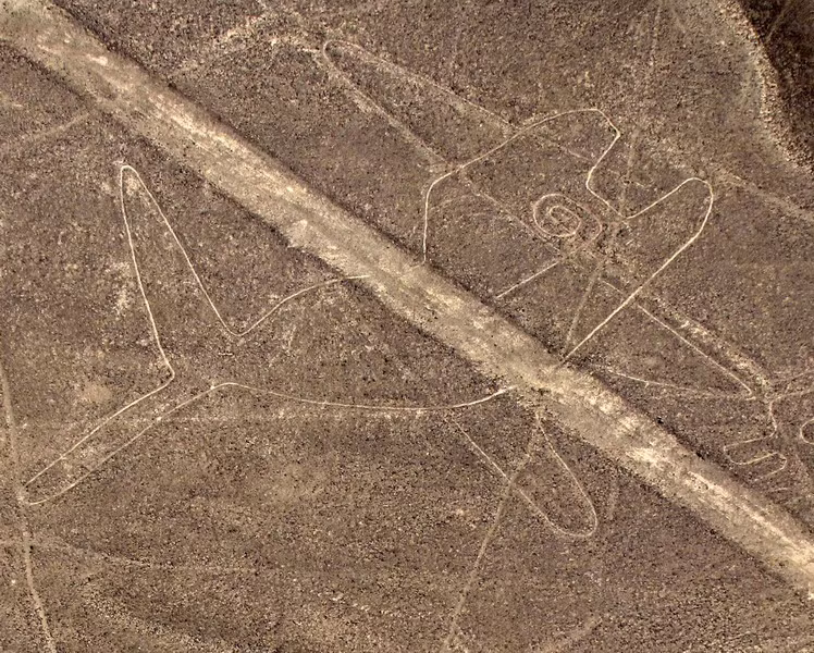 Những giả thiết khác cho rằng các hình vẽ ở Nazca có liên quan tới thiên văn học, là hệ thống kênh đào cổ của người Nazca, hay đó là những phần còn lại của những "nhà thờ di động", nơi một nhóm lớn tín đồ tôn giáo đi dọc theo một hình mẫu có trước dùng để dâng hiến cho một thực thể linh thiêng đặc biệt. Ảnh: Hình vẽ cá voi ở Nazca.