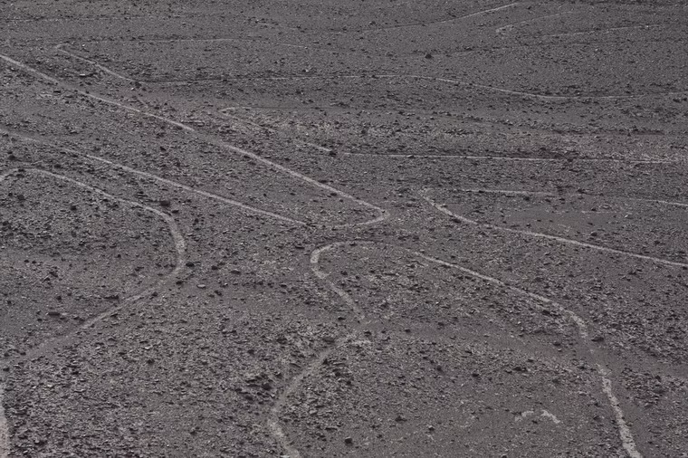 Các hình vẽ được tạo ra bằng cách đào bỏ lớp đá cuội ôxít sắt phủ trên bề mặt sa mạc Nazca. Khi đá sỏi bị đào đi, đất sáng màu dưới những đường rãnh đó tương phản với vùng bên cạnh.