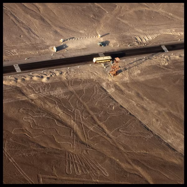 Dù vậy, mục đích tạo ra các hình vẽ vẫn là một ẩn số. Phần lớn các nhà khoa học tin rằng chúng có động cơ tôn giáo. Có thể các cư dân Nazca đã tiến hành nghi lễ tại các hình vẽ to lớn đó để tạ ơn thần linh và để cầu xin nguồn nước sẽ tiếp tục chảy từ dãy Andes. Ảnh: Hình vẽ một thân cây ở Nazca.