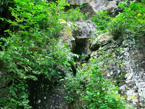 Lối vào hang Thiên Phúc.