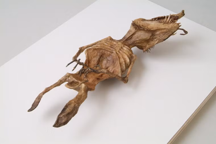 Du khách có thể tham quan bảo trực tuyến của Hajime Emoto tại địa chỉ sow.ggnet.co.jp.