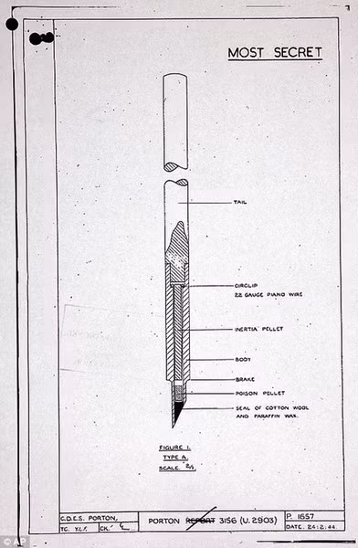 Từ năm 1941 - 1944, các nhà khoa học Anh đã nghiên cứu một loại bom có thể chứa đến 30.000 chiếc kim tẩm chất độc. Khi nổ, những chiếc kim trong quả bom này sẽ găm vào nạn nhân, có thể gây ra cái chết trong vòng nửa giờ. Tuy vậy, điểm yếu của loại bom này là không thể gây sát thương nếu đối tượng được che chắn. Do hiệu quả được đánh giá là thấp, những quả bom chứa kim độc đã không bao giờ được sản xuất trên thực tế.