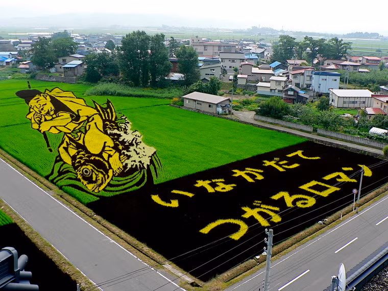 Các nghiên cứu cho thấy lúa gạo đã được trồng ở địa phương từ hơn 2.000 năm. Để tôn vinh truyền thống lịch sử này, dân làng quyết định tạo ra một bức tranh trên cánh đồng lúa phía sau tòa thị chính. Từ đó, những ruộng lúa Tanbo đã ra đời.