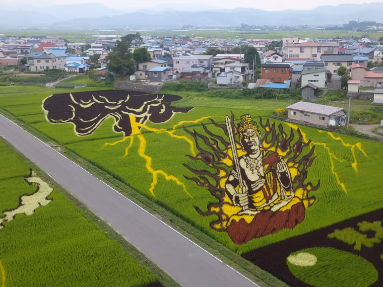 Những hình vẽ sẽ được thiết kế trên máy vi tính tương ứng với diện tích các thửa ruộng. Những chiếc khuôn sẽ được tạo và đem ra đồng ướm vào những vị trí cần gieo hạt.