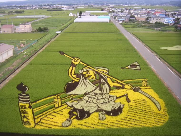 Thời điểm tốt nhất để thưởng thức những tác phẩm Tanbo là tháng 9, mùa lúa chín ở Nhật Bản. Nhiều tháp cao đã được dựng lên để phục vụ nhu cầu của du khách.