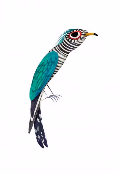 Tìm vịt lục bảo châu Á (Chrysococcyx maculatus) là một loài chim sặc sỡ thuộc họ Cu cu, được tìm thấy trong các khu rừng phía Nam và Đông Nam Á, trong đó có Việt Nam.