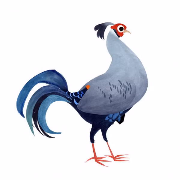 Gà lô hồng tía (Lopura diardi) là một loài gà lôi rất đẹp, hiện đã được nuôi sinh sản thành công ở Việt Nam.