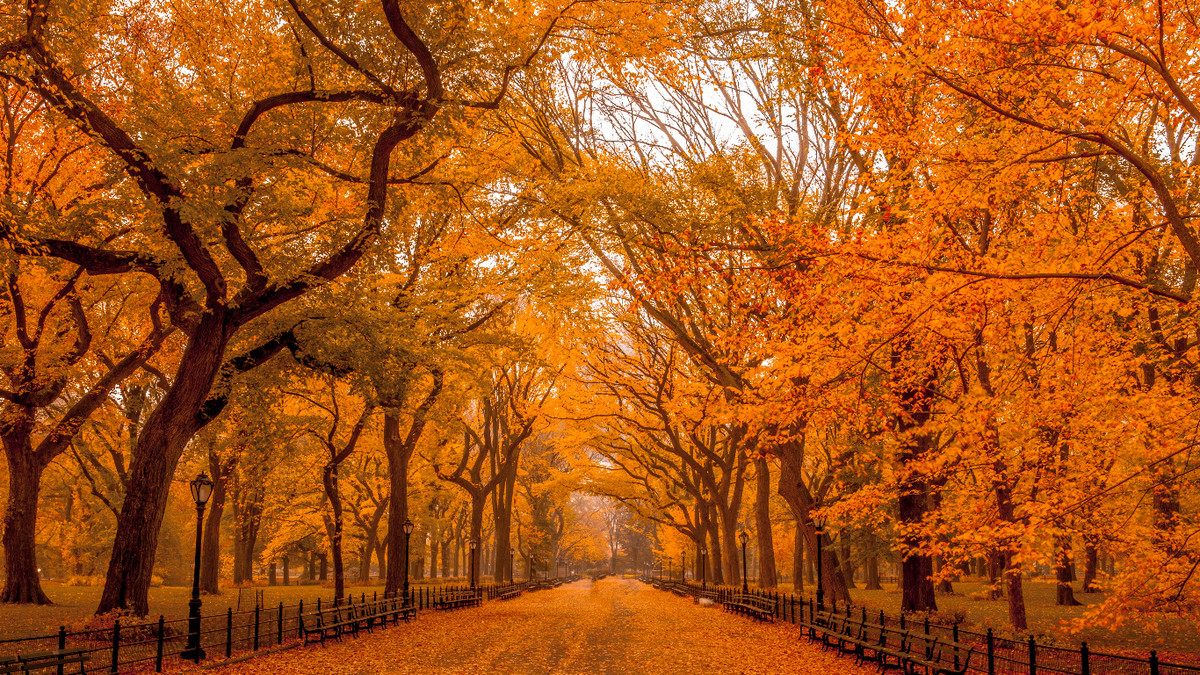 4 con giáp tài lộc sung túc trong tháng 8 Âm lịch - Hình 4 4 con giap tai loc sung tuc trong thang 8 Am lich-Hinh-4