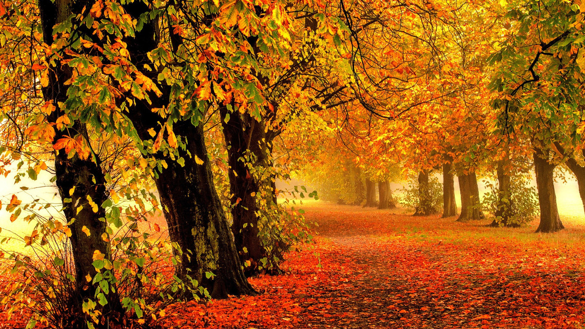 4 con giáp tài lộc sung túc trong tháng 8 Âm lịch - Hình 2 4 con giap tai loc sung tuc trong thang 8 Am lich-Hinh-2