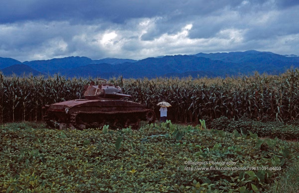 Xác xe tăng M24 Chaffee của Pháp ở Điện Biên Phủ.