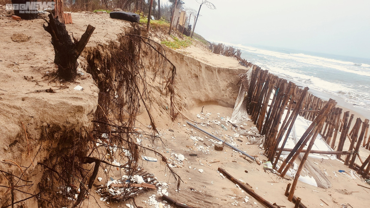 Theo người dân địa phương, sóng lớn cuộn trào với sức công phá mạnh đã phá tan hoang đoạn bờ kè cả trăm mét được dựng bằng bao cát kết hợp cọc tre. Sau khi vượt qua các "chướng ngại vật" này, nước biển tiếp tục lấn sâu vào bờ, "ngoạm" trơ gốc phi lao.
