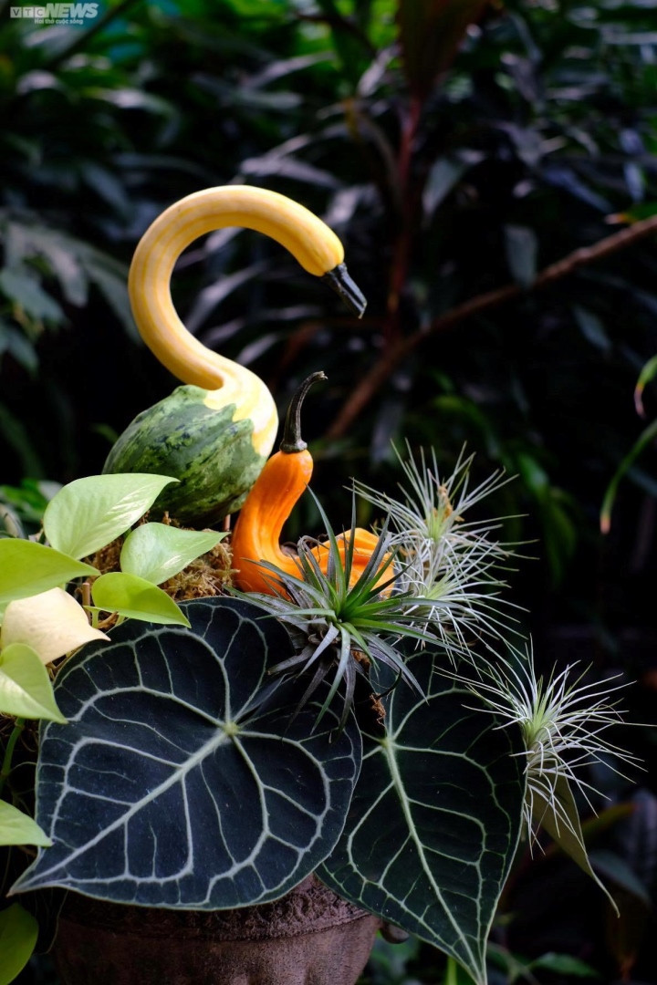 Dua nhau san lung bi ngo ti hon dot bien choi Halloween-Hinh-2