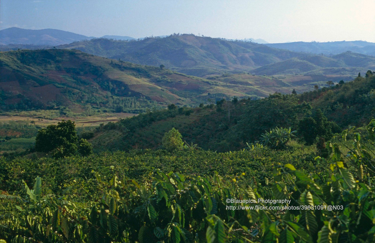 Cảnh đồi núi trên đường tới Đà Lạt.