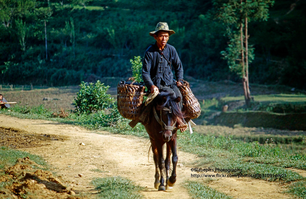 Người đàn ông Bản Phố cưỡi ngựa.