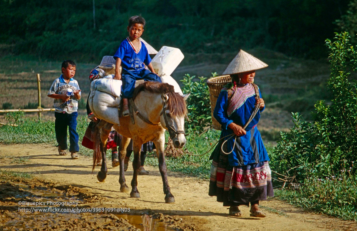 Bà mẹ người H'Mông về nhà cùng các con sau một ngày làm việc cần mẫn.