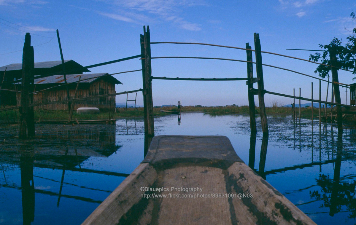 Cây cầu thô sơ là lối đi của cư dân sống trong lòng hồ.