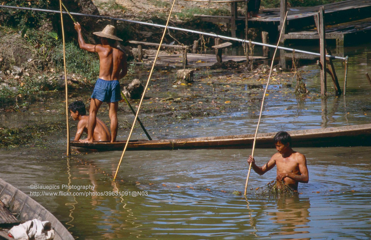 Ngư dân đánh bắt cá.