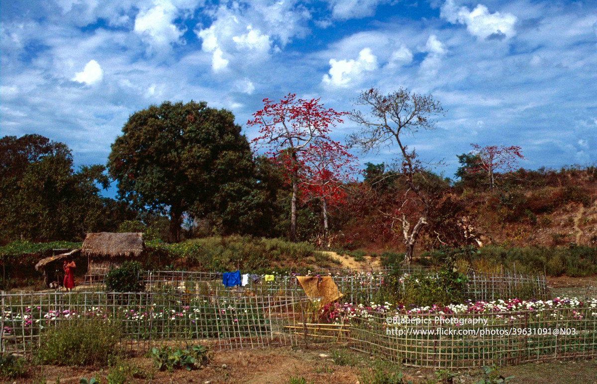 Một nông trại ở Mrauk U.