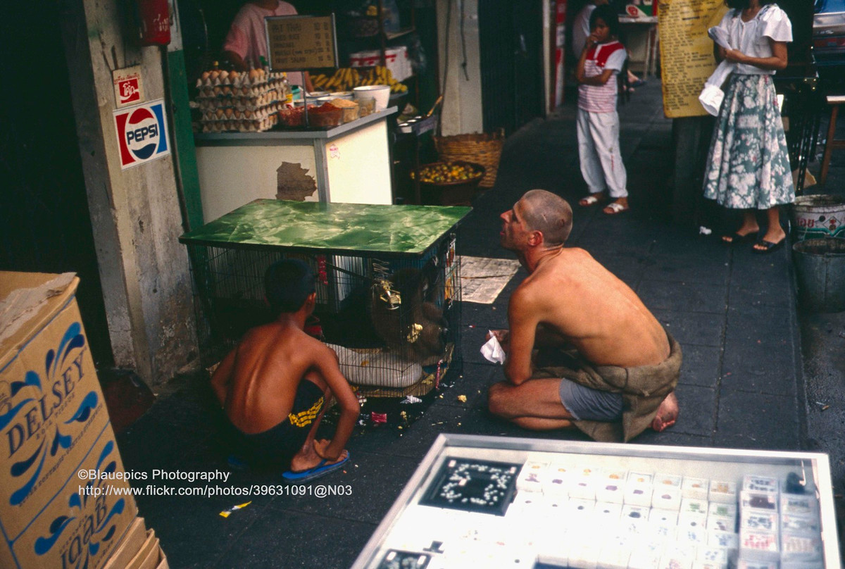 Một anh Tây theo phong cách Hippie nhìn con khị bị nhốt trong lồng trên phố Khao San. Cư dân địa phương thì nhìn anh này.