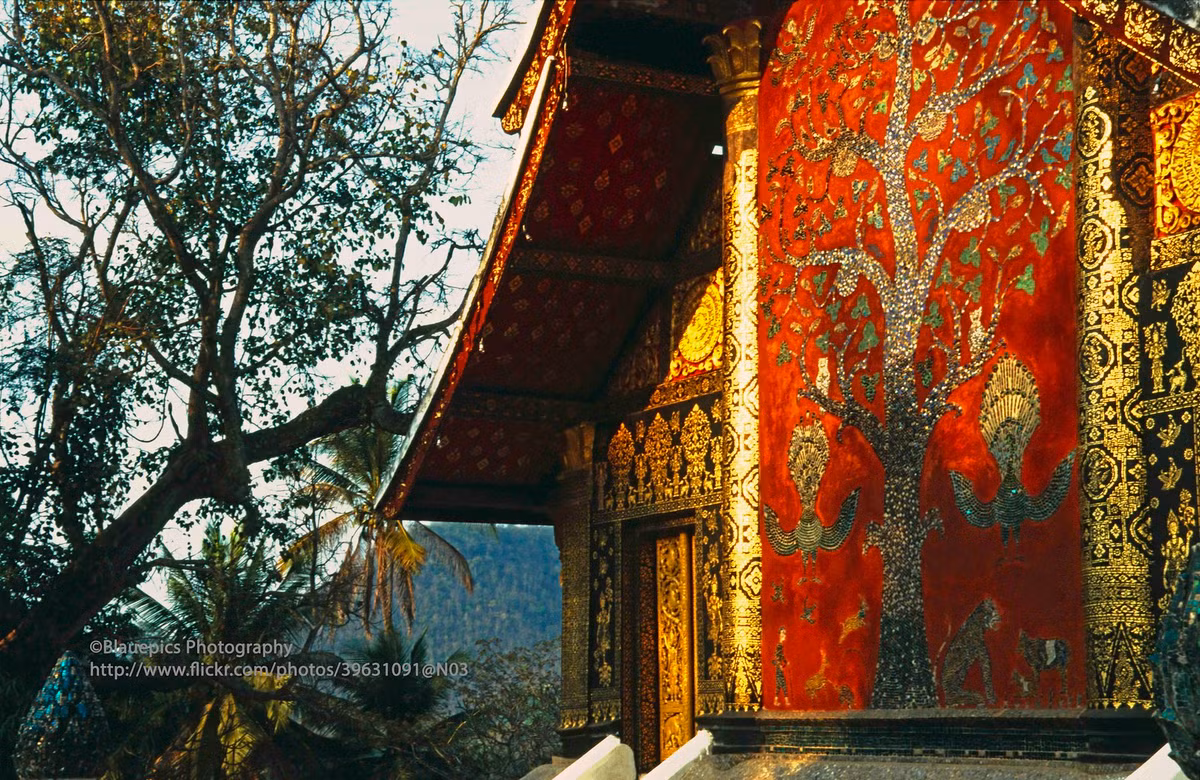 Nét cổ kính và tráng lệ của chùa Wat Xieng Thong.