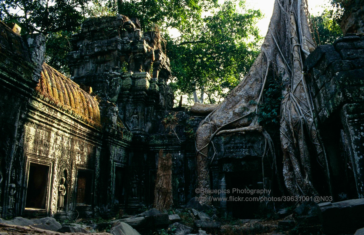 Một góc đền Ta Prohm.