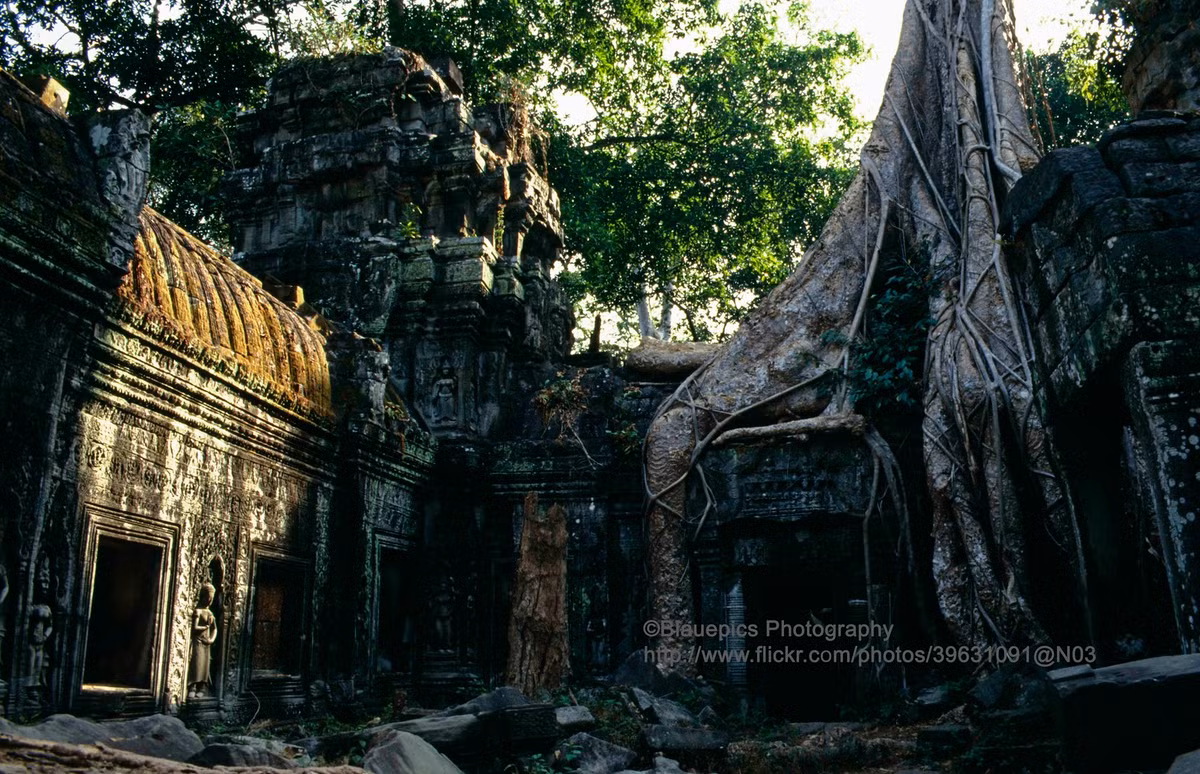 Một góc đền Ta Prohm.