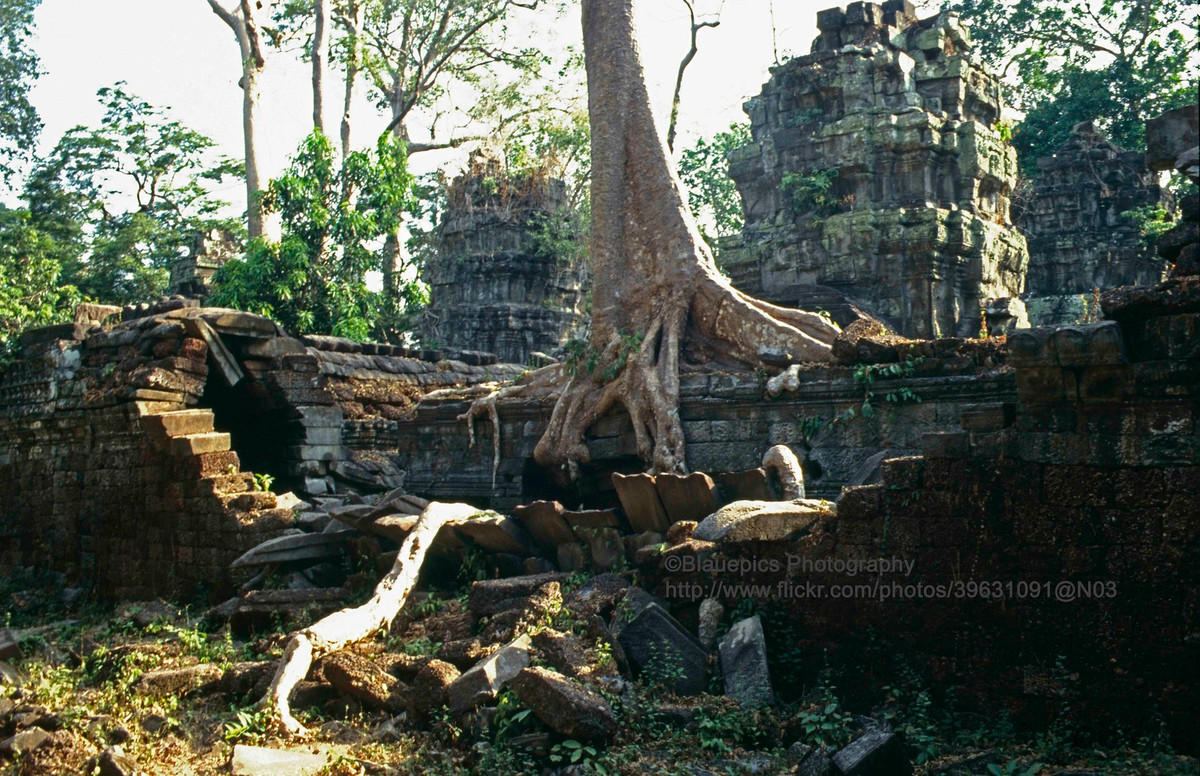 Đền Ta Prohm, công trình nằm ở Đông Angkor Thom, nổi tiếng với những cây cổ thụ mọc trùm lên phế tích.
